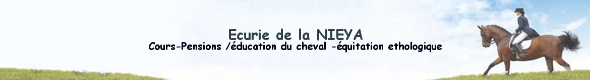 Ecurie de la NIEYA